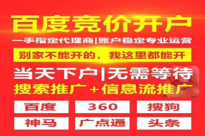 SEM关键词竞争分析案例